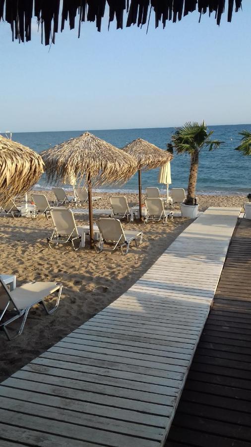 Hili Resort Luxurious Seaside Apartment 알렉산드로폴리스 외부 사진